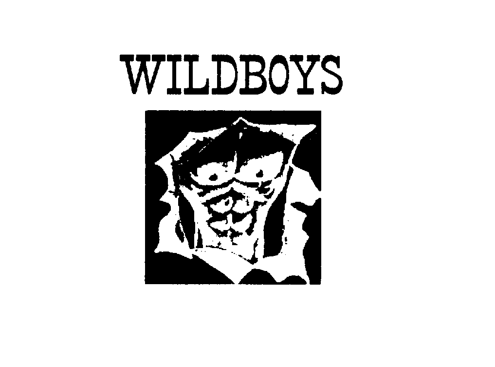 Trademark Logo WILDBOYS