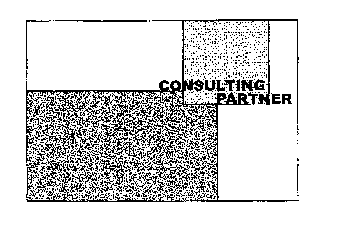  CONSULTING PARTNERS