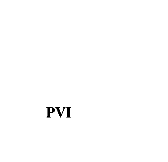 Trademark Logo PVI