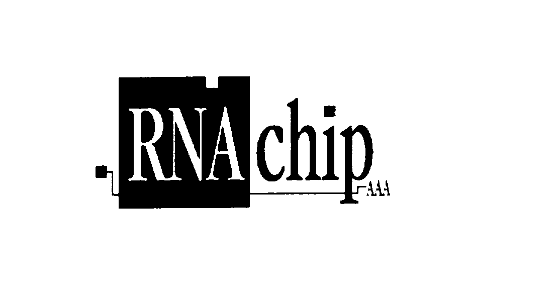  RNA CHIP