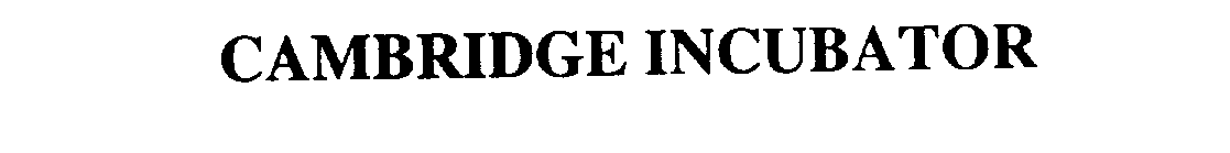  CAMBRIDGE INCUBATOR