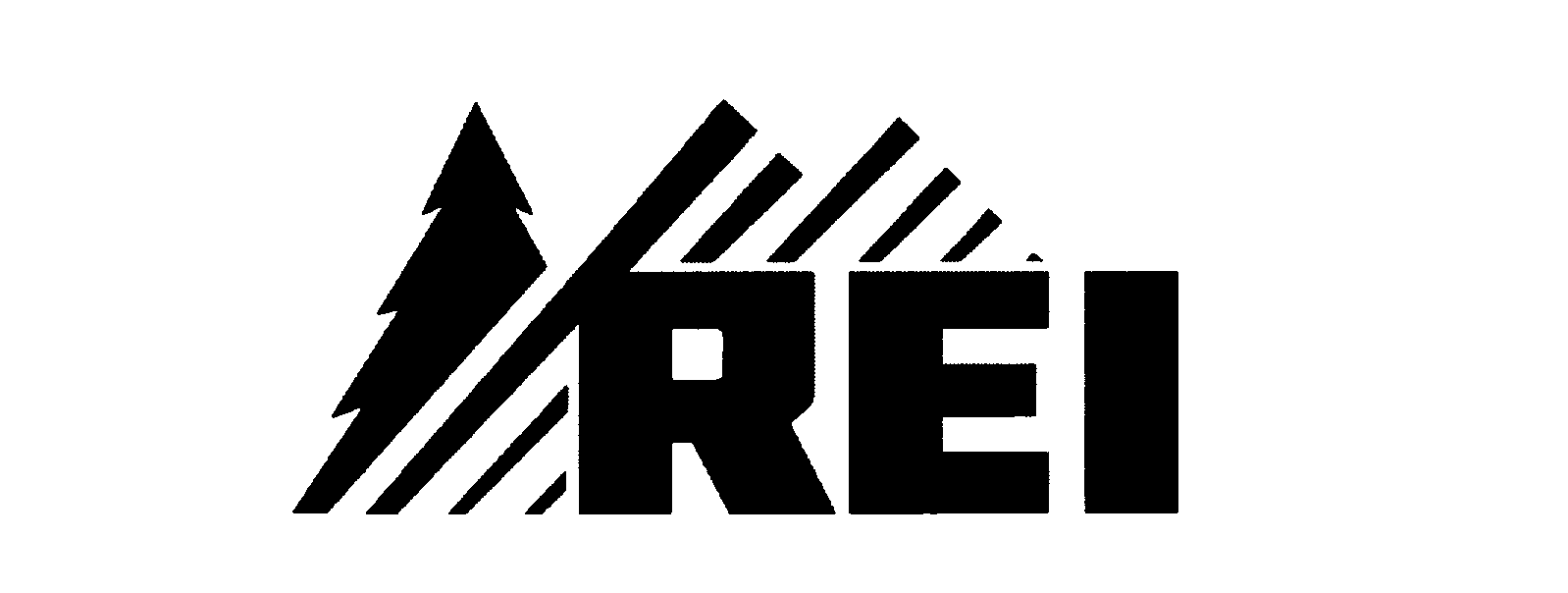 Trademark Logo REI