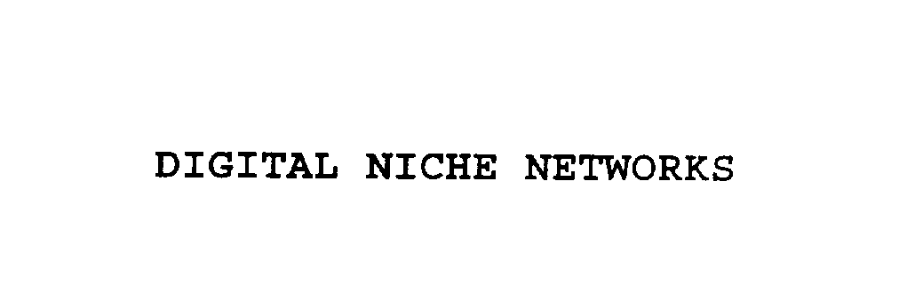  DIGITAL NICHE NETWORKS
