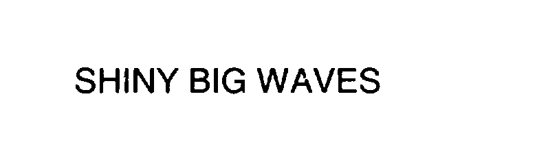 SHINY BIG WAVES