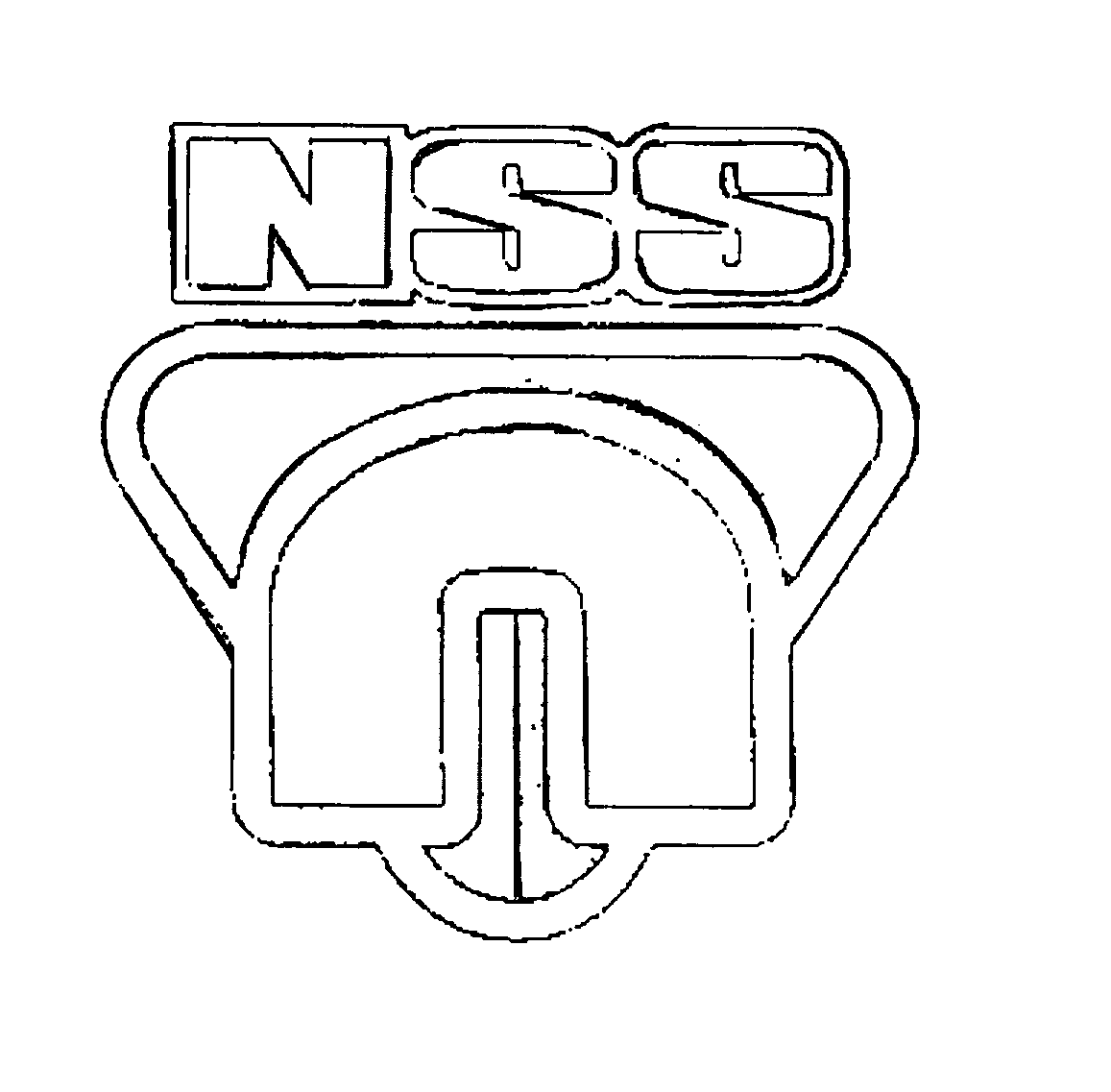 NSS N
