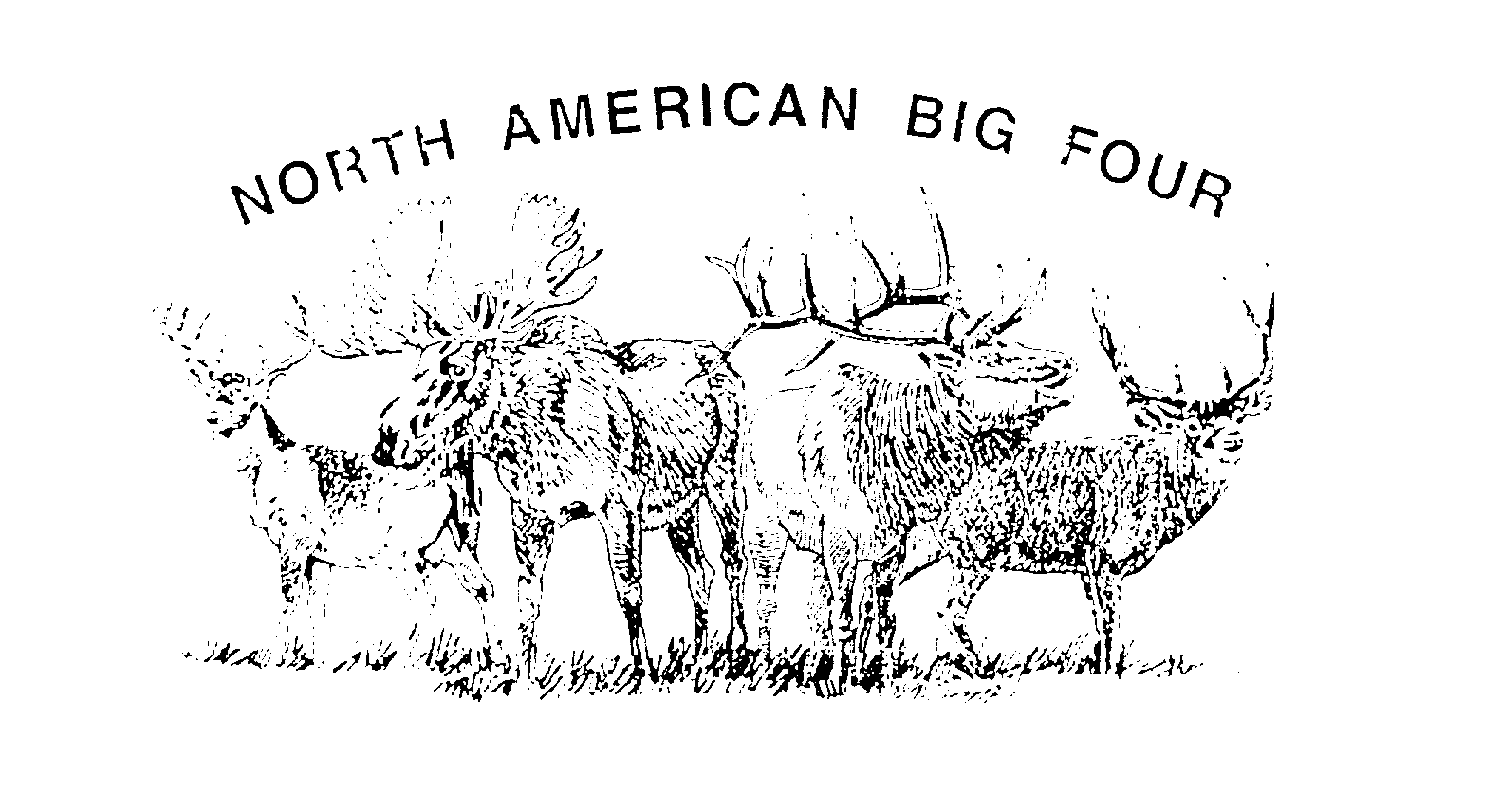  NORTH AMERICAN BIG FOUR