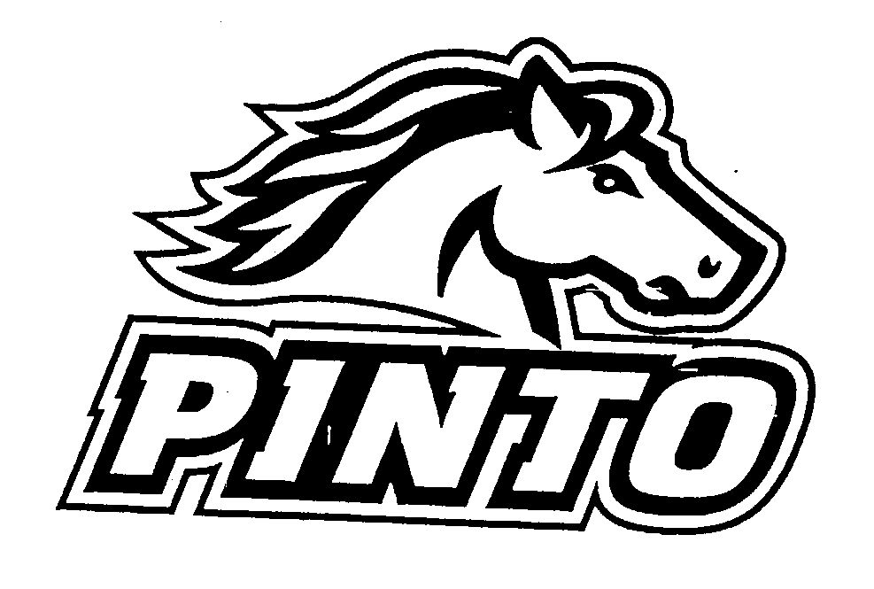 Trademark Logo PINTO