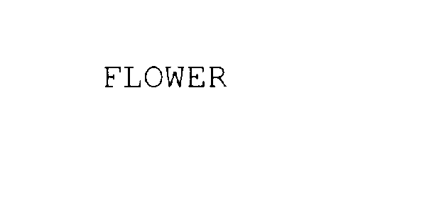 FLOWER