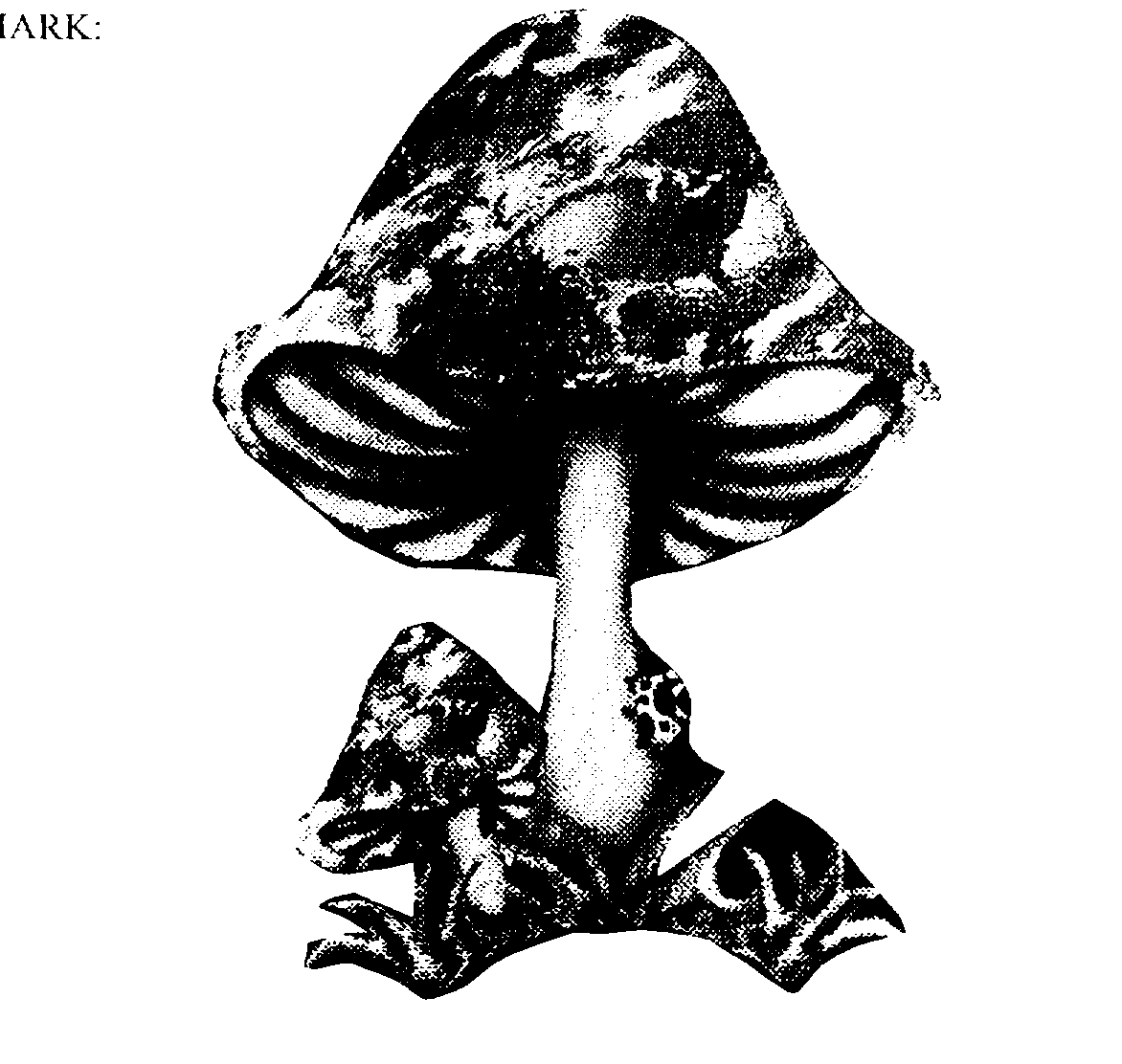 Trademark Logo MUSHROOM