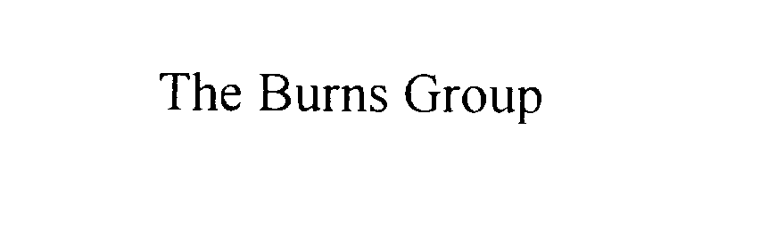  THE BURNS GROUP