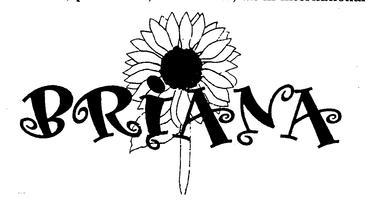 Trademark Logo BRIANA