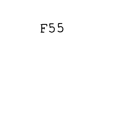  F55