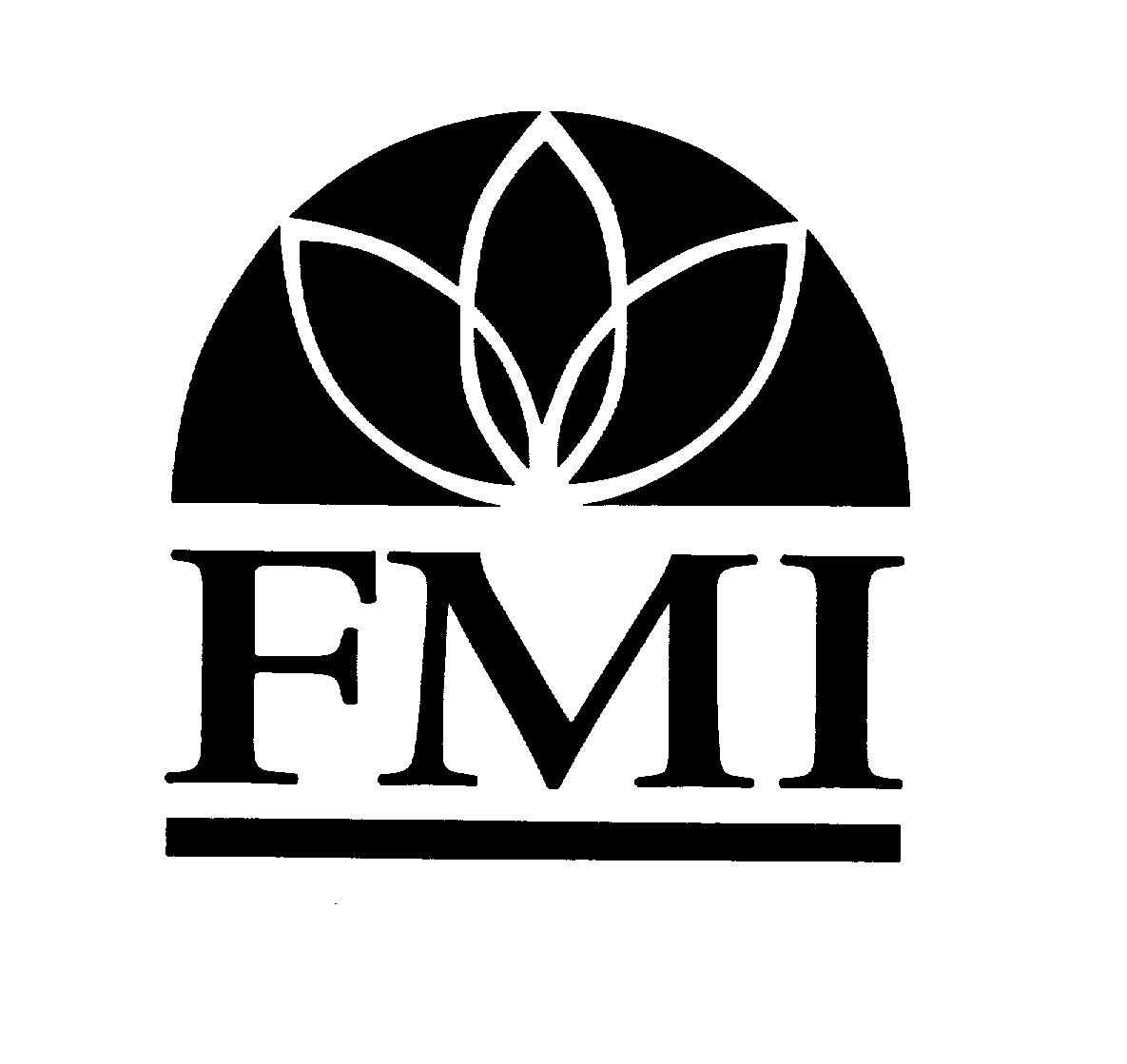 FMI