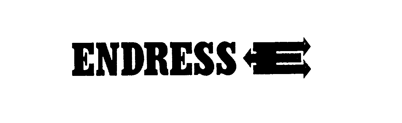 Trademark Logo ENDRESS