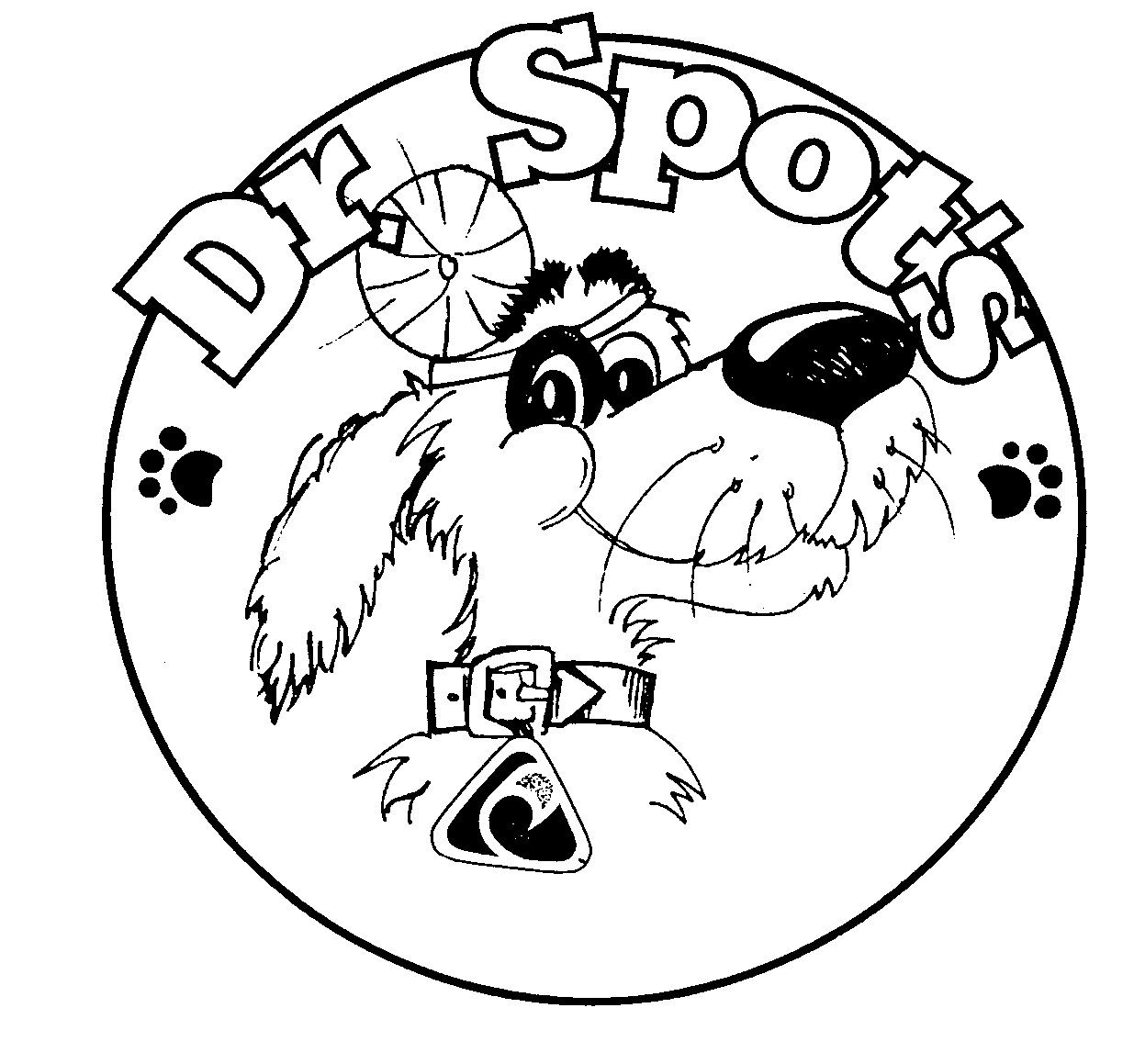 Trademark Logo DR. SPOT'S