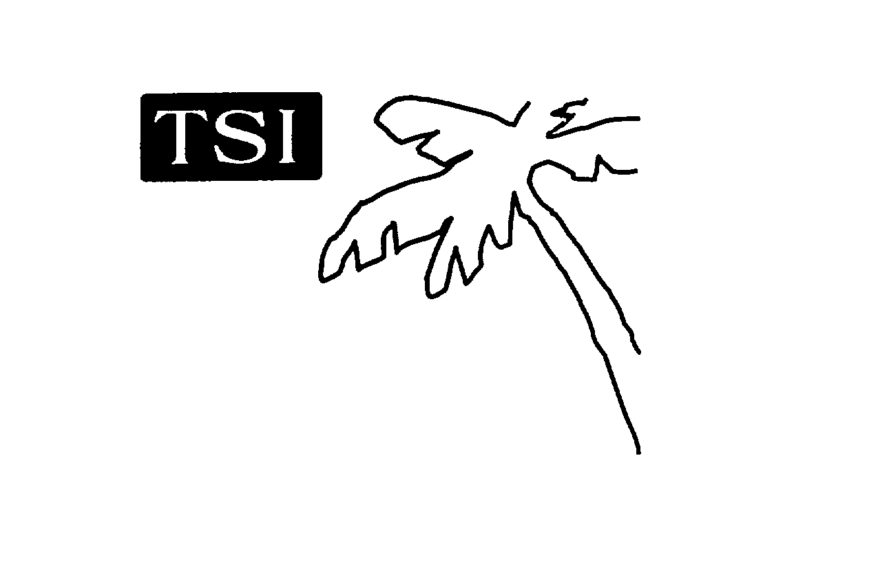  TSI