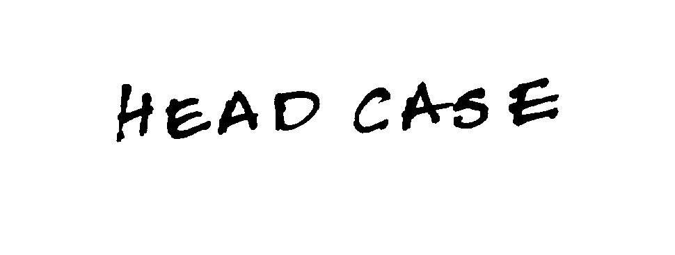 HEAD CASE