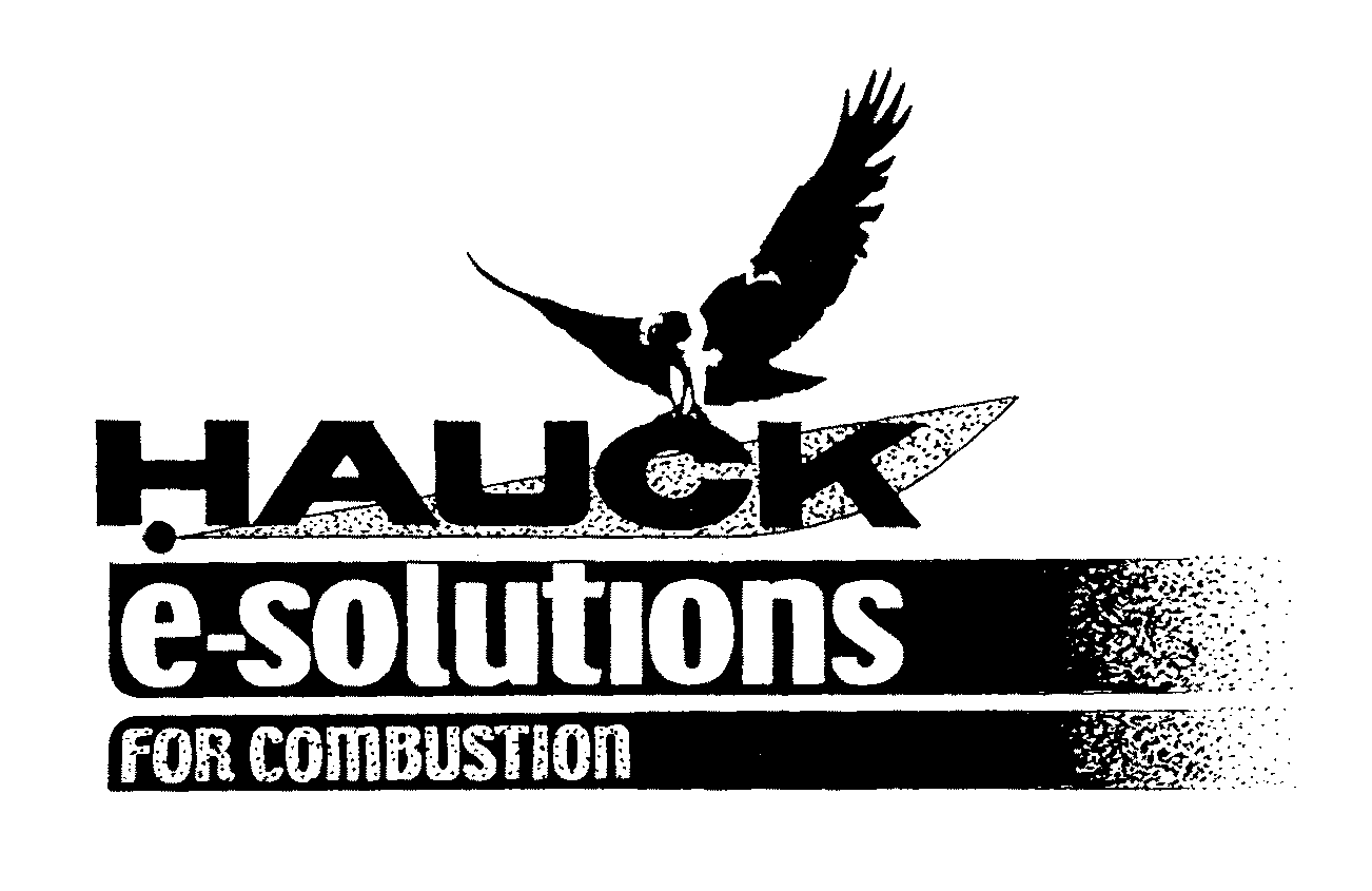 Trademark Logo HAUCK E-SOLUTIONS FOR COMBUSTION