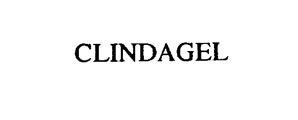  CLINDAGEL