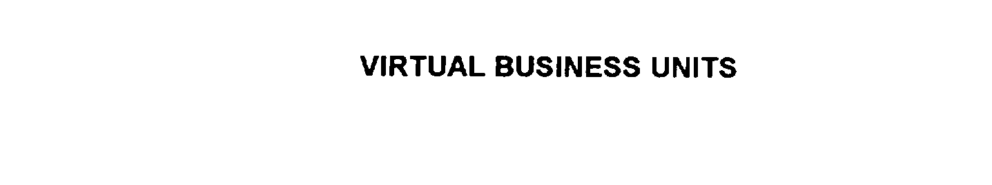  VIRTUAL BUSINESS UNITS