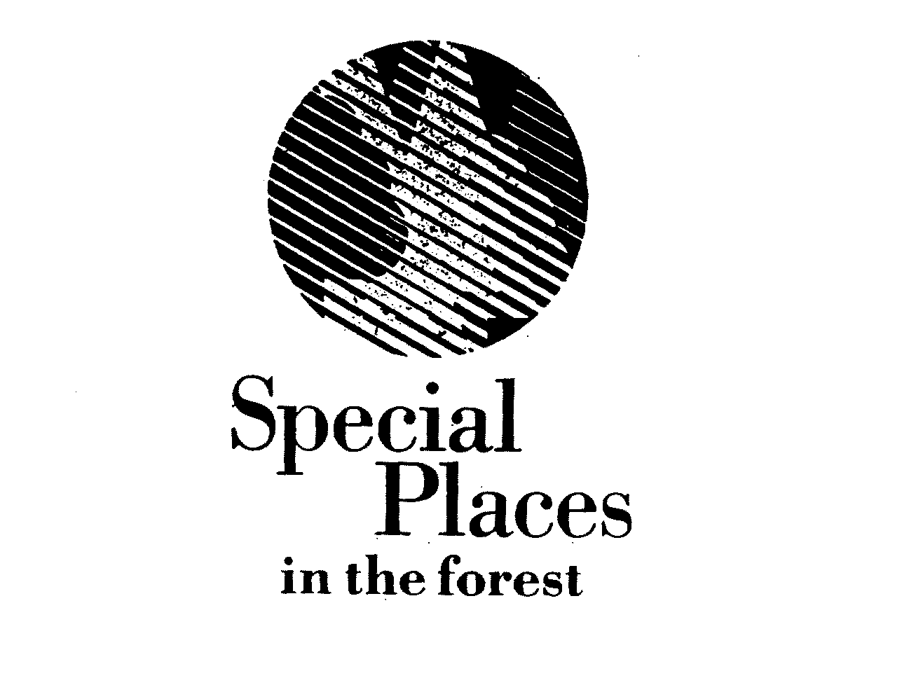  SPECIAL PLACES IN THE FOREST