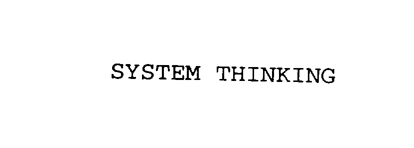  SYSTEM THINKING