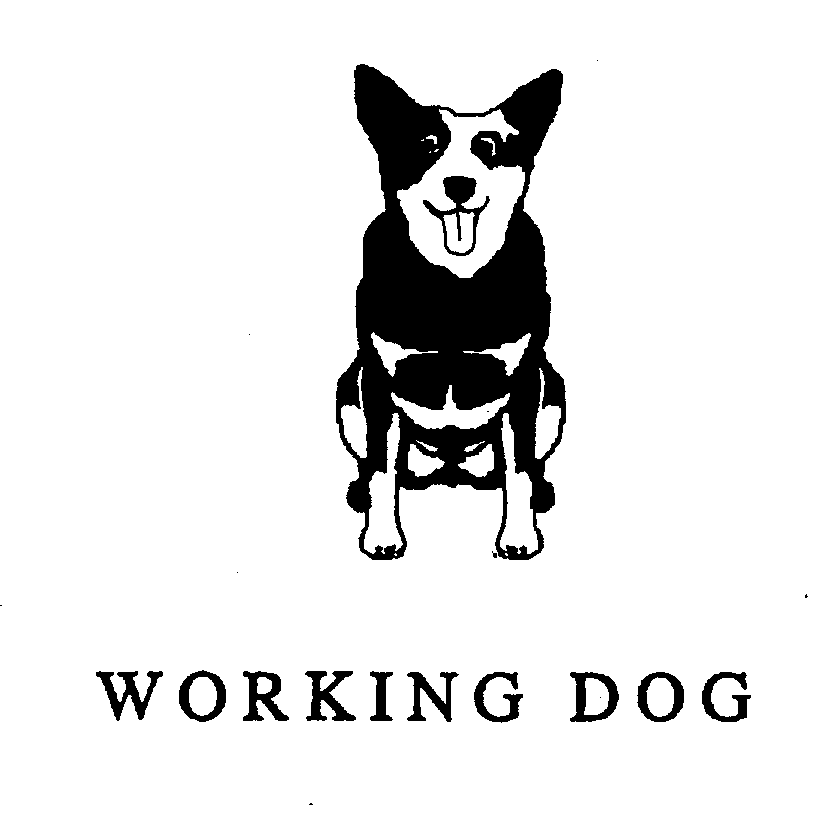 WORKING DOG