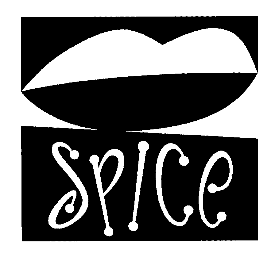  SPICE