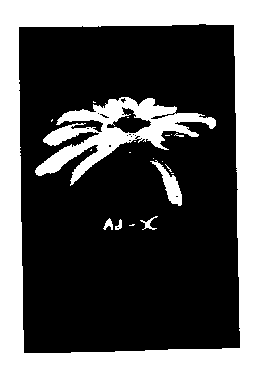 Trademark Logo AD-X