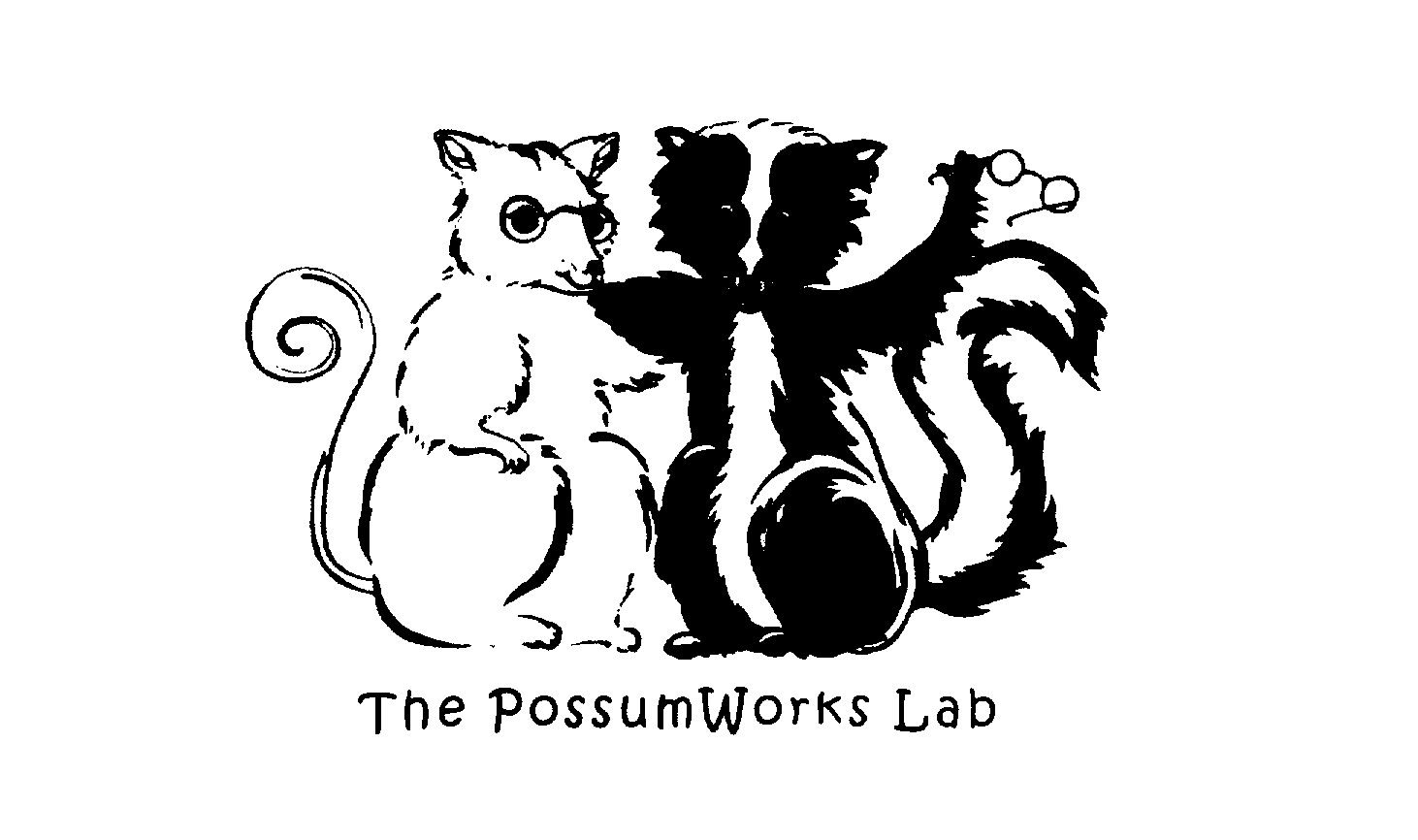  THE POSSUMWORKS LAB