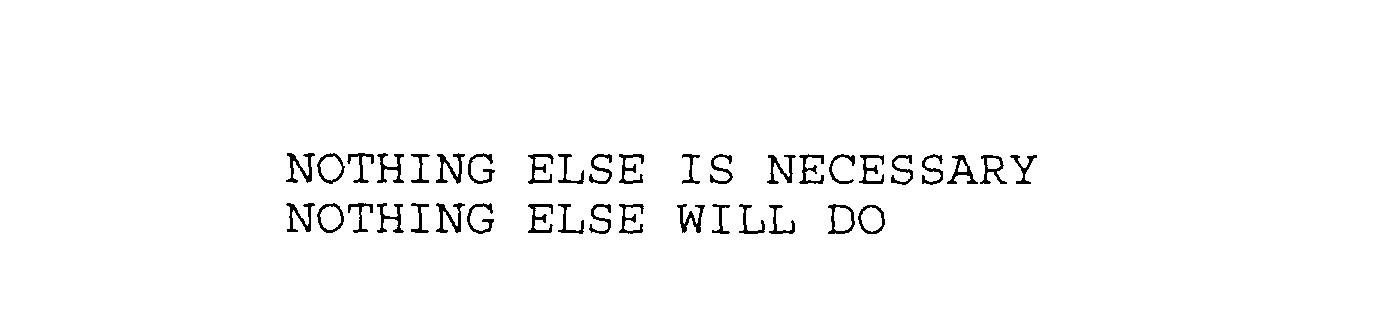  NOTHING ELSE IS NECESSARY NOTHING ELSE WILL DO