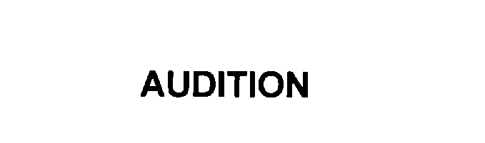  AUDITION