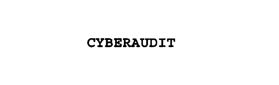  CYBERAUDIT