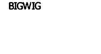 Trademark Logo BIGWIG