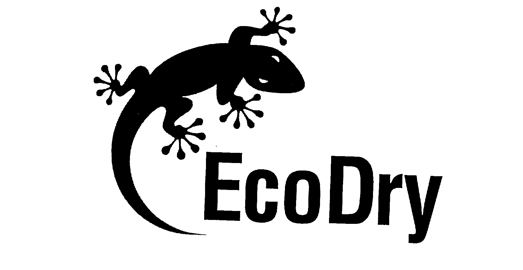Trademark Logo ECODRY