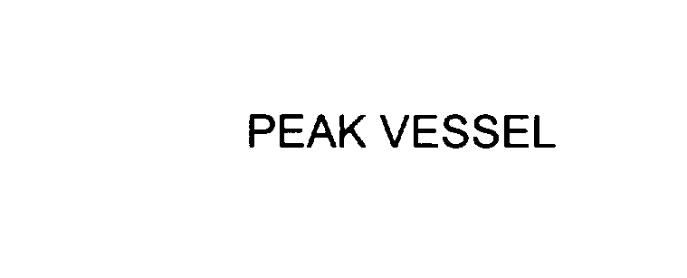 Trademark Logo PEAK VESSEL
