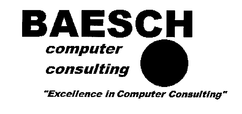  BAESCH COMPUTER CONSULTING &quot;EXCELLENCE IN COMPUTER CONSULTING&quot;