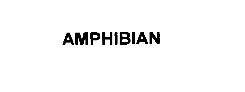 AMPHIBIAN