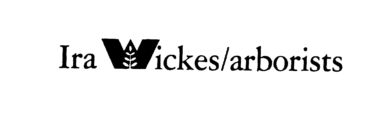  IRA WICKES/ARBORISTS