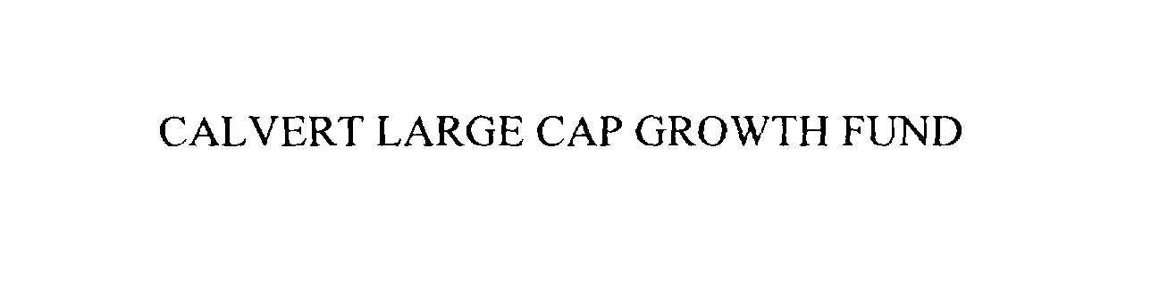  CALVERT LARGE CAP GROWTH FUND