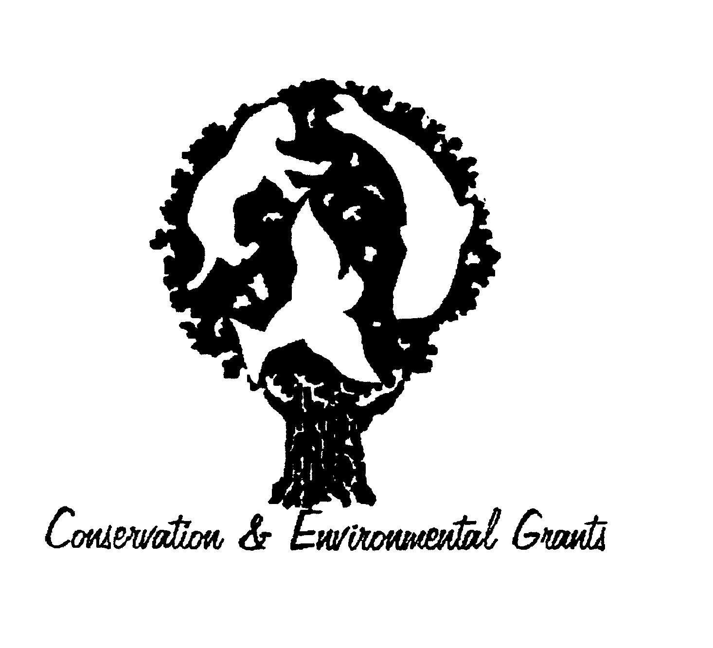 Trademark Logo CONSERVATION & ENVIRONMENTAL GRANTS