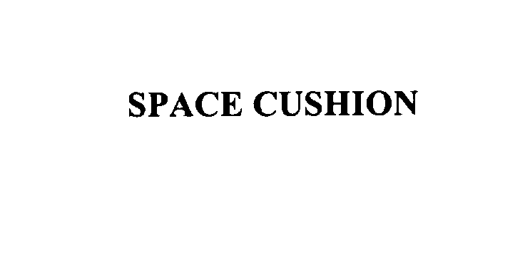  SPACE CUSHION
