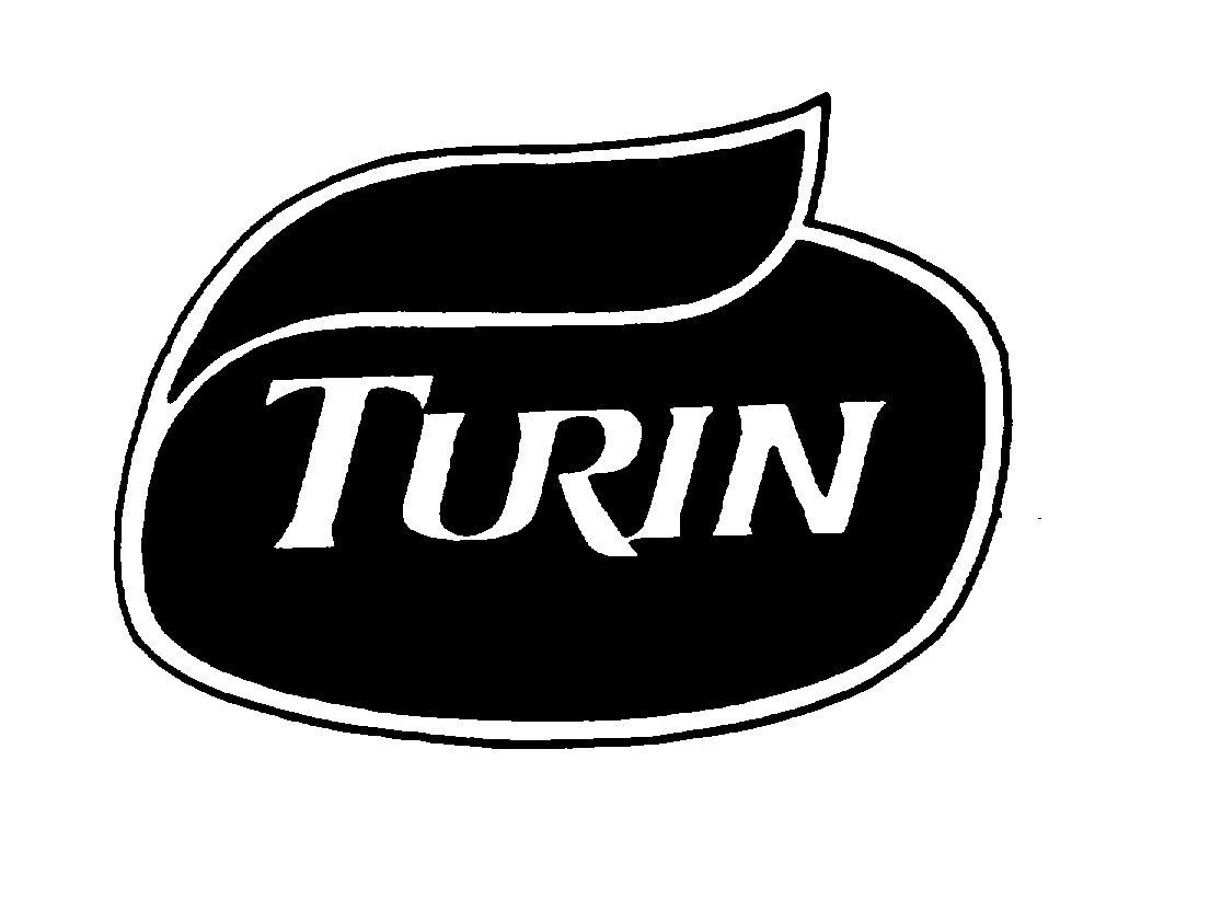 Trademark Logo TURIN