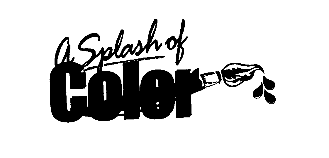 Trademark Logo A SPLASH OF COLOR