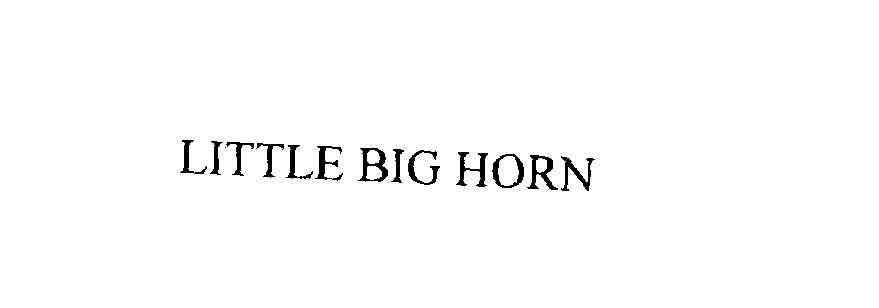  LITTLE BIG HORN