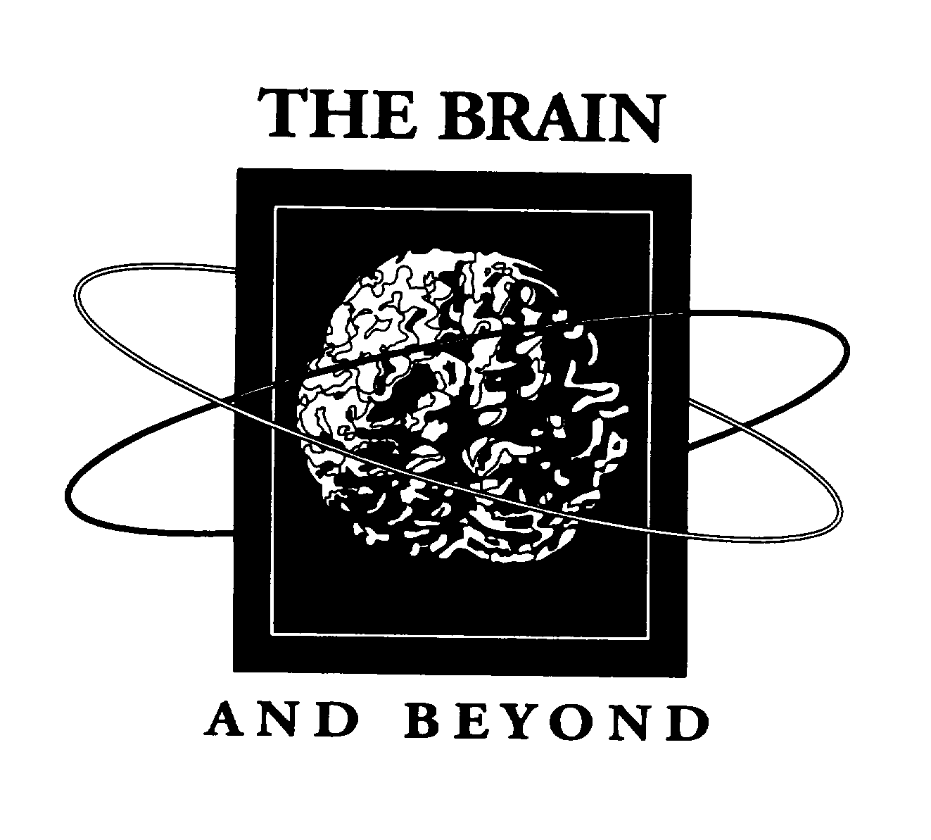 THE BRAIN AND BEYOND
