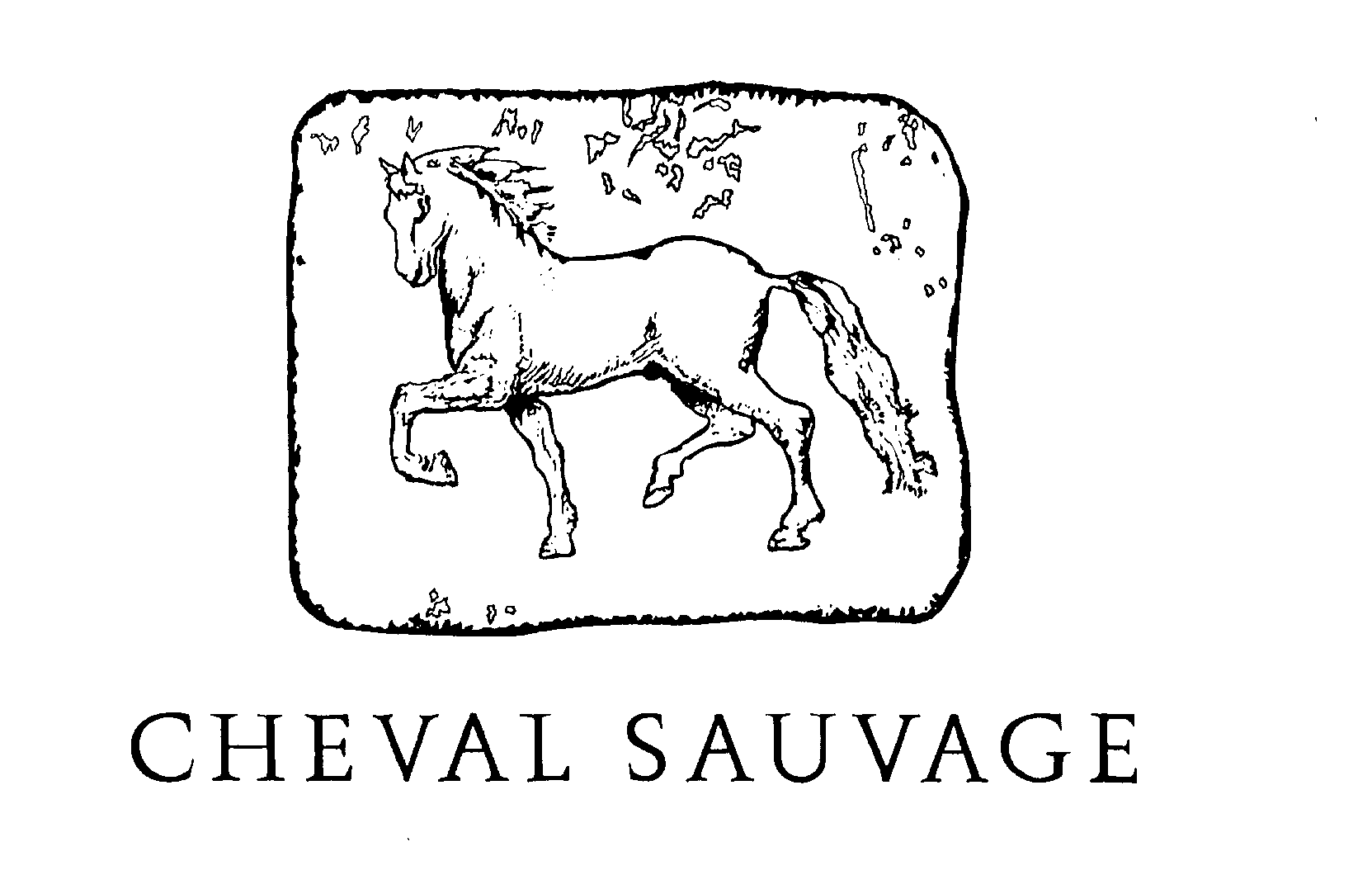 CHEVAL SAUVAGE