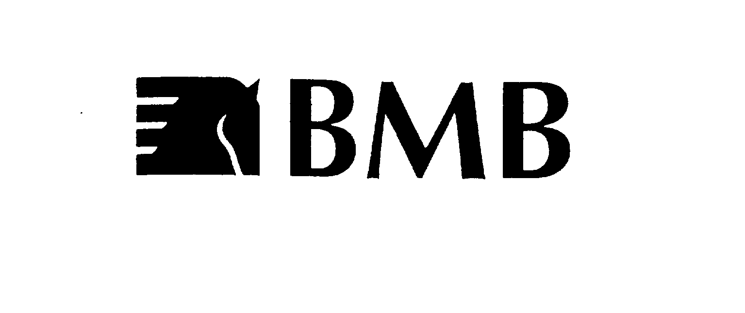  BMB