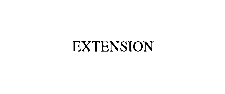 Trademark Logo EXTENSION