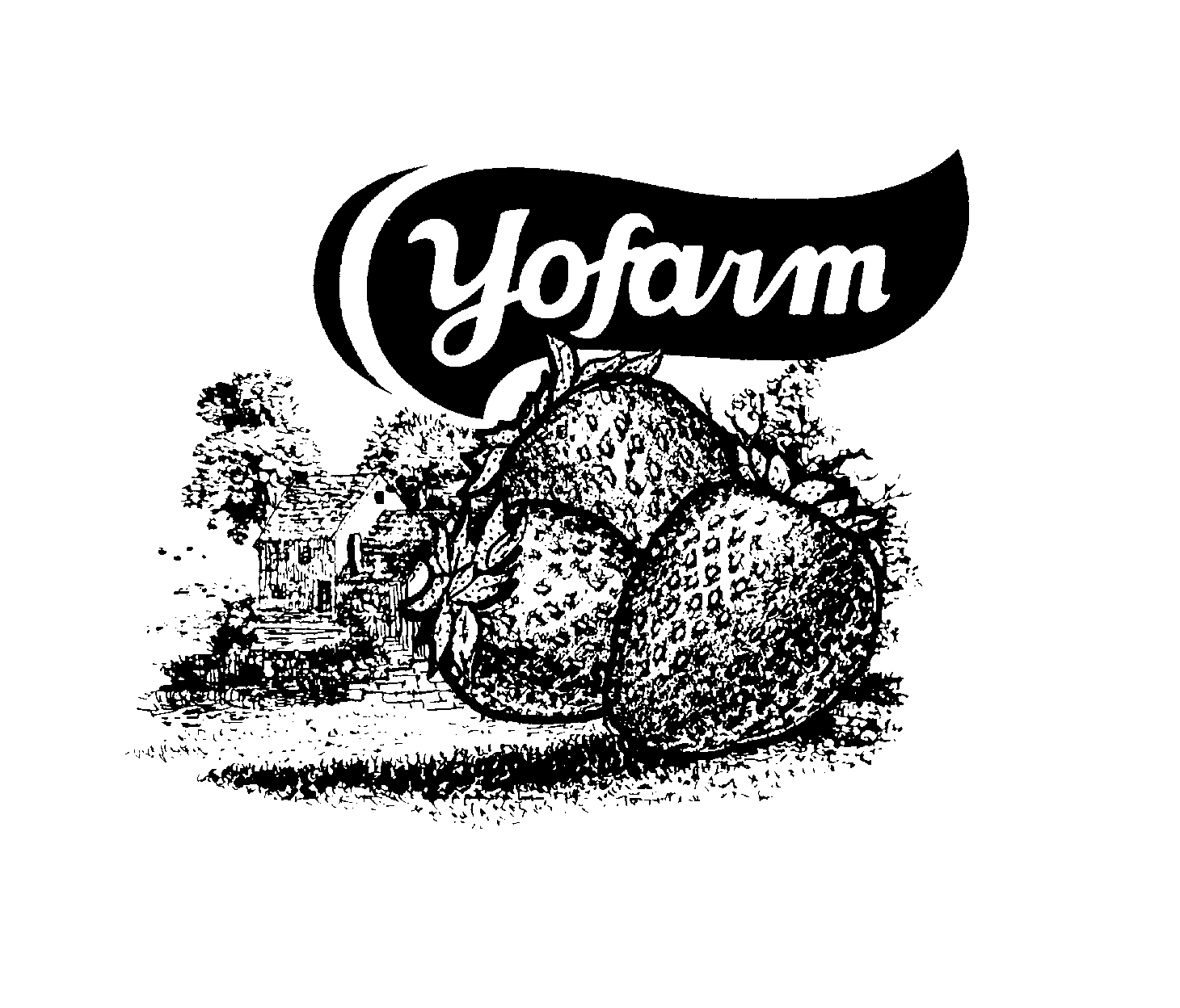  YOFARM